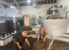 Traditional olive oil mills in Tunisia are still standing for Centuries